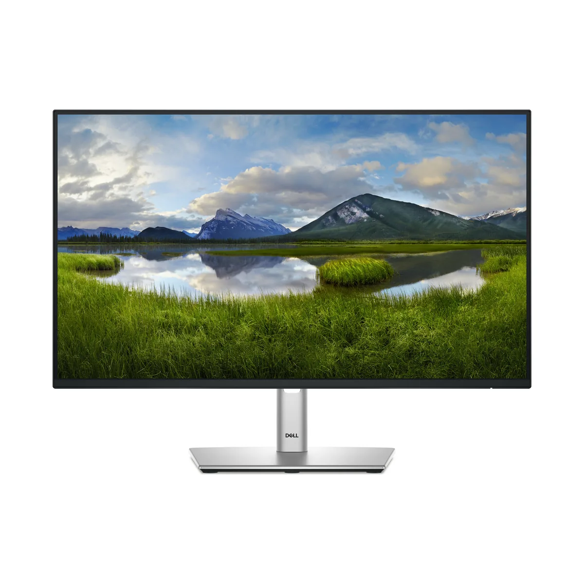Monitor Dell Pro Plus P2425H de 24″